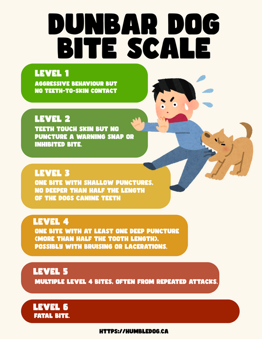 Understanding Dog Bites: Prevention, Warning Signs, and the Dunbar Dog Bite Scale
