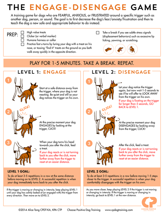 Understanding Adolescent Fear Periods in Dogs