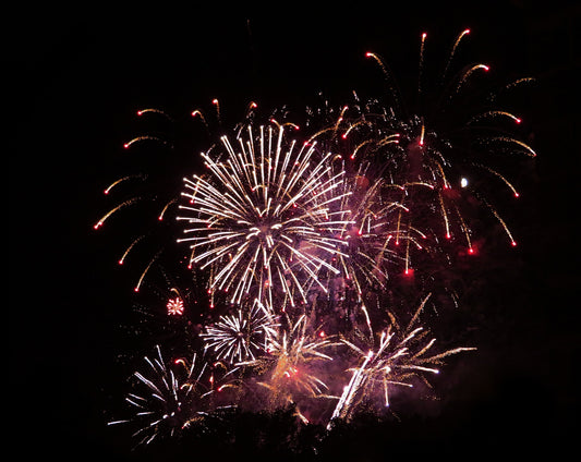 Keeping Your Dog Calm During Canada Day Fireworks: Tips and Tricks