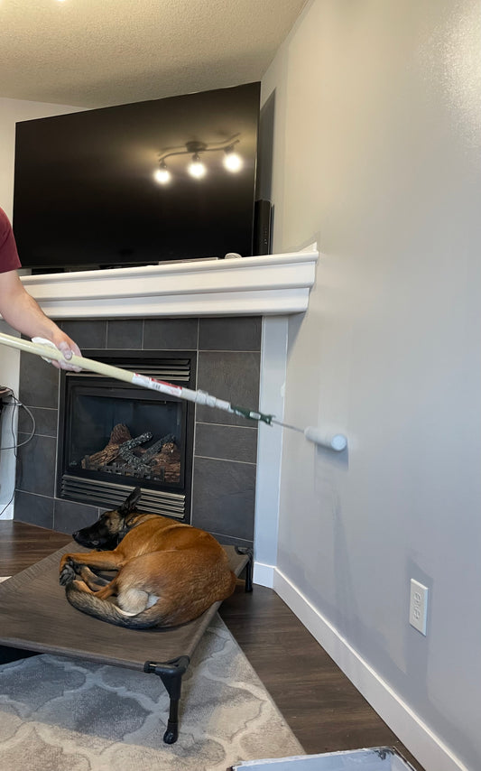 "Place" and the importance of training your dog before the holiday season: