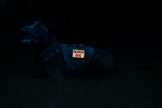 New Reflective Dog Patches Coming Soon from Humble Dog