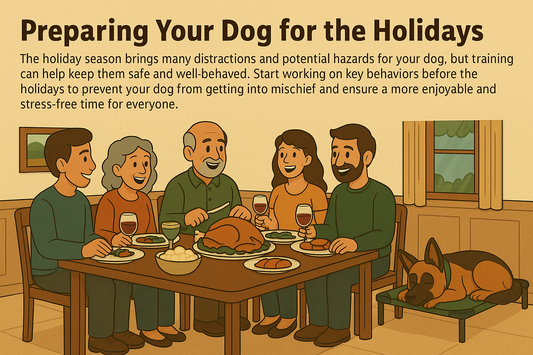 Holiday Prep: 5 Must-Know Dog Training Cues for a Stress-Free Season