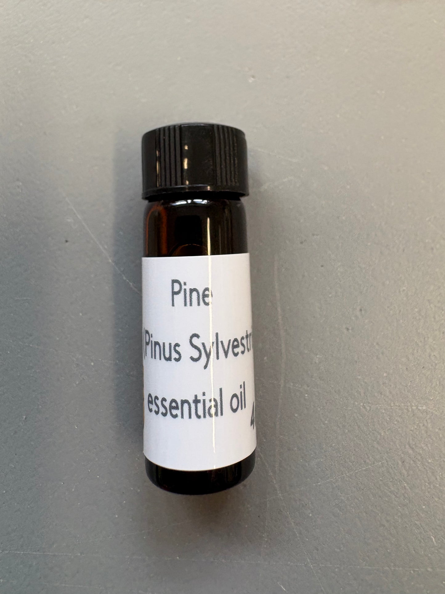 Pine Essential Oil (1 Dram) | SDDA & CKC Advanced Target Odour for Canine Nosework