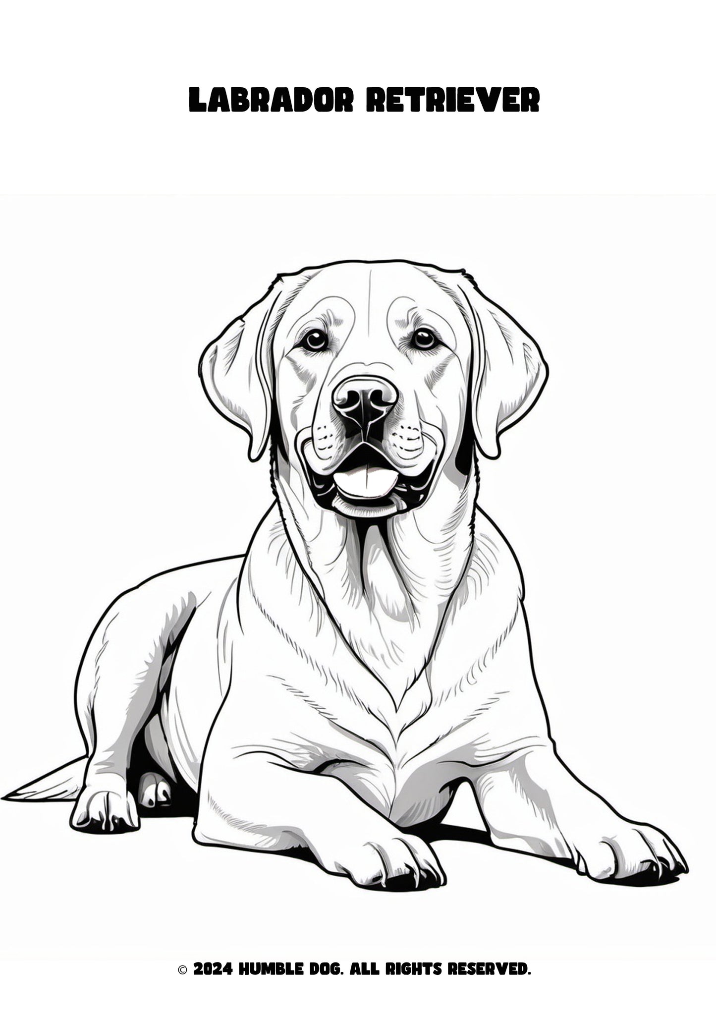 Humble Dog colouring book of dogs