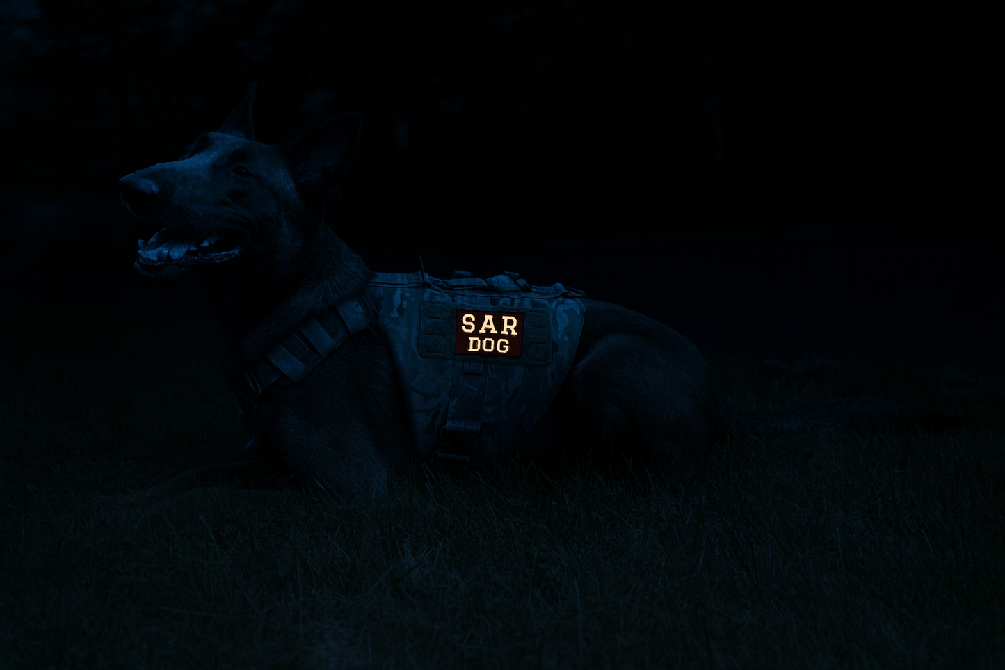 6x4” Reflective SAR DOG Patch – Applique Lettering
