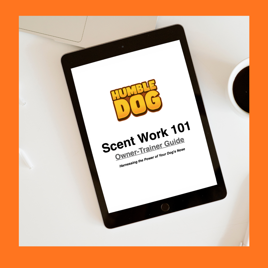 Scent Work 101: The Complete 35-Page Guide to Building a Confident Search Dog