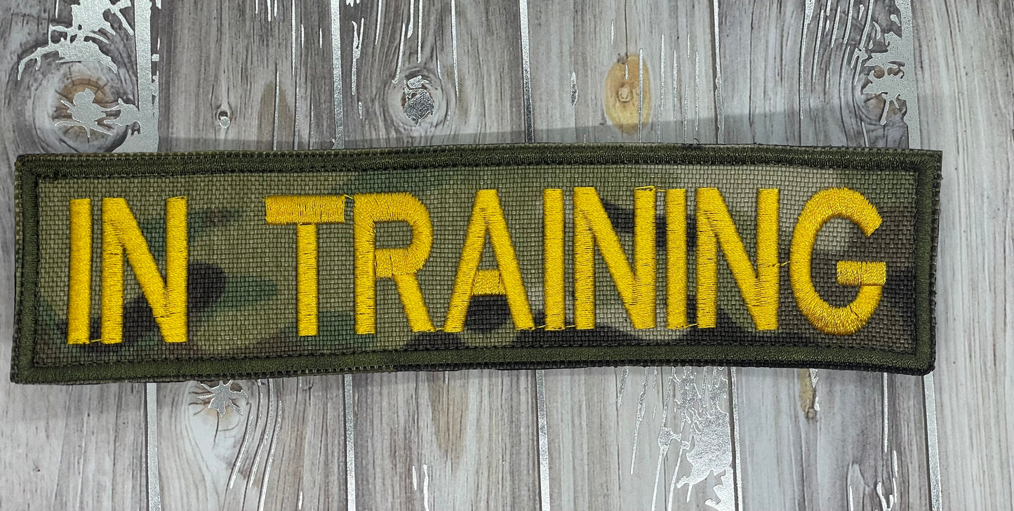 Pre Designed Patch In Training