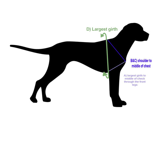 How to Measure Your Dog for a Proper-Fitting Service Dog Vest