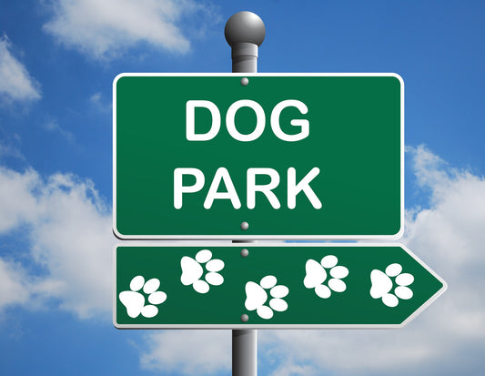 Dog Parks should you go or not?