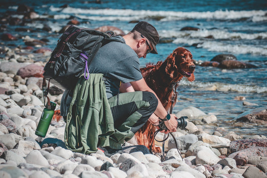 Hiking Safely with Your Dog: Tips and Importance of a First Aid Kit