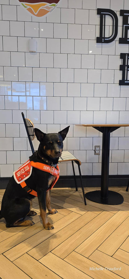 Ready-to-Ship Service Dog Vests (Coming Soon)