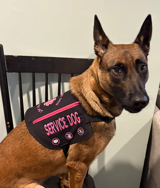 Made-to-Order Service Dog Vests