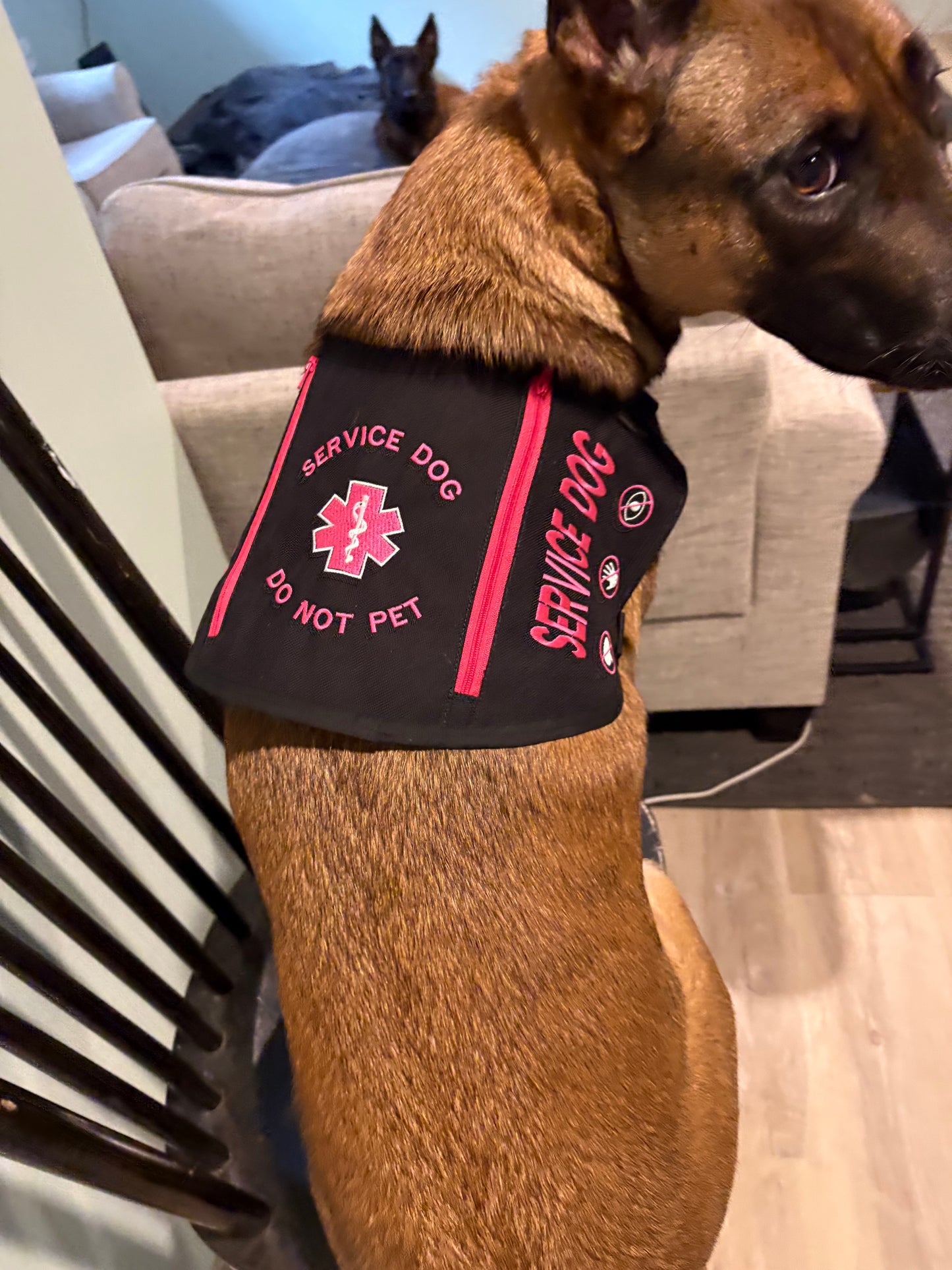 Made-to-Order Service Dog Vests