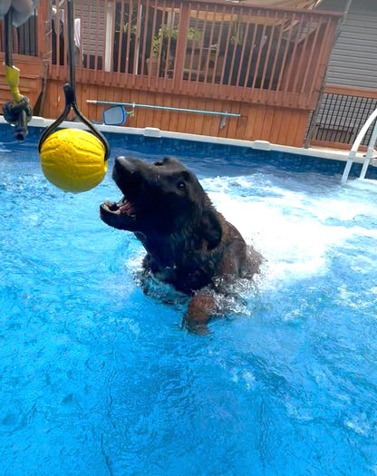 K9 Training Ball on a Rope | Floating Reward Toy for Drive Building, Fetch & Tug