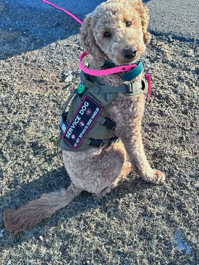 Custom Rectangular Dog Patch – Velcro Backed, Personalized & Made in Canada