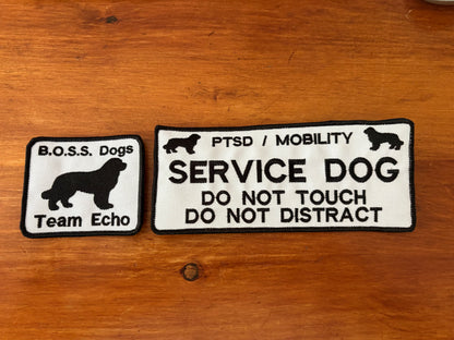 Custom Rectangular Dog Patch – Velcro Backed, Personalized & Made in Canada