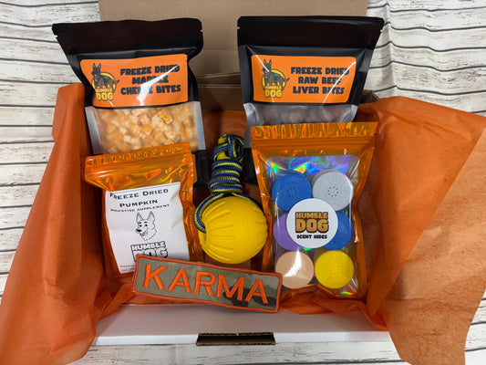 🐾 The Santa Paws Treat Box 🎄