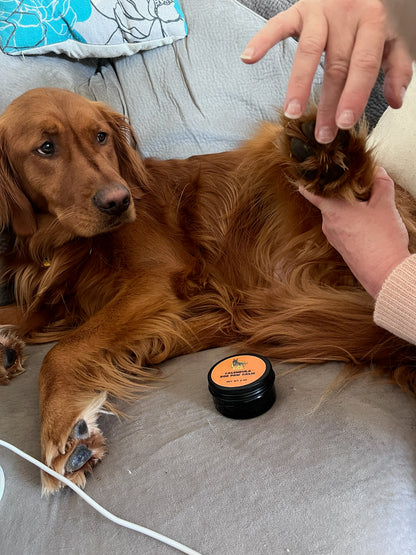 Calendula Dog Paw Balm