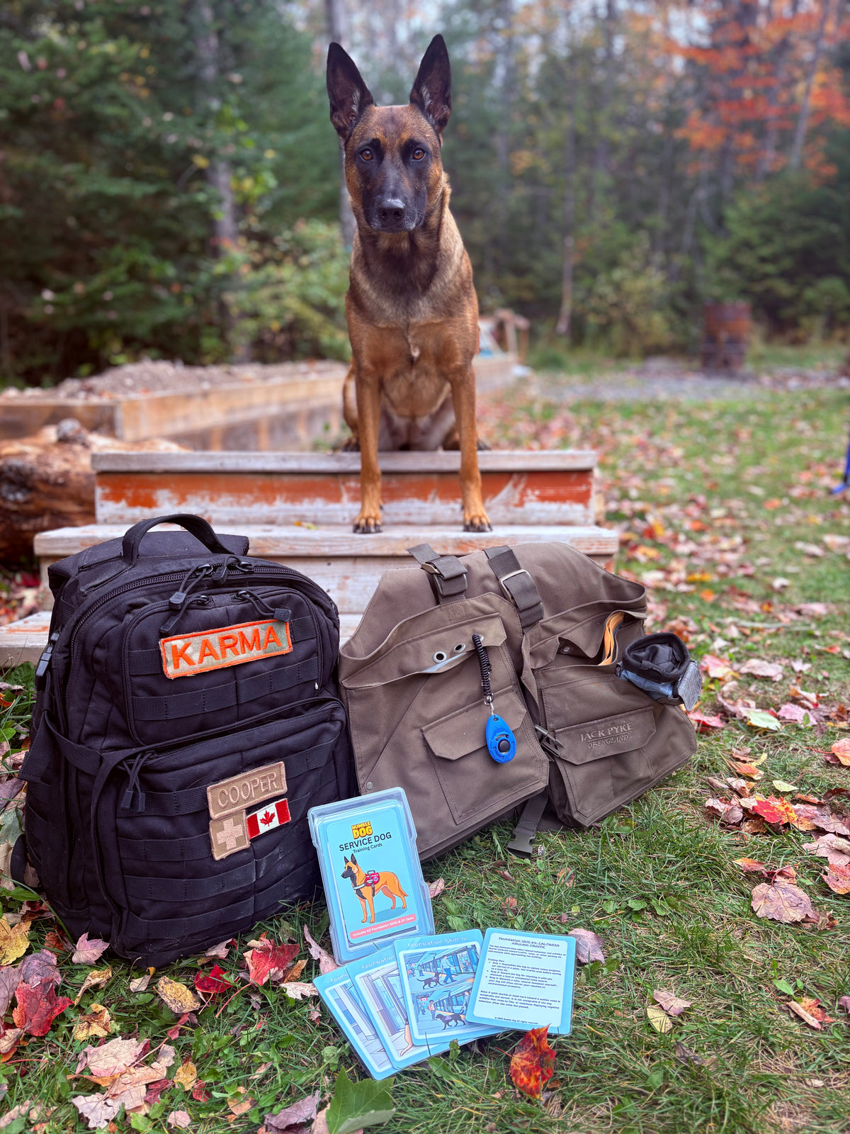 Service Dog Training Q-Cards | 60-Card Foundation Skills & Task Training Deck