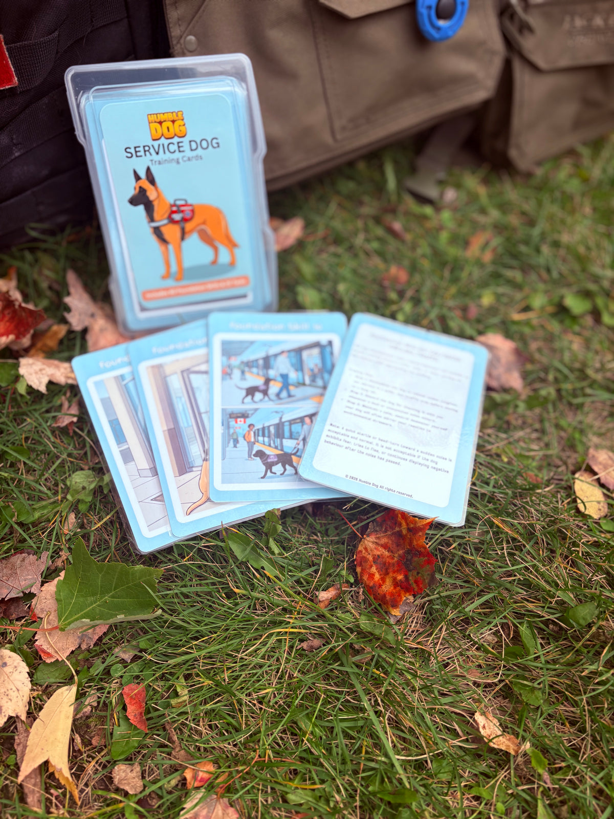 Service Dog Training Q-Cards | 60-Card Foundation Skills & Task Training Deck