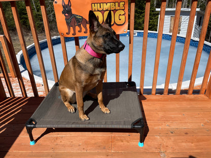 Humble Dog Tactical Collars