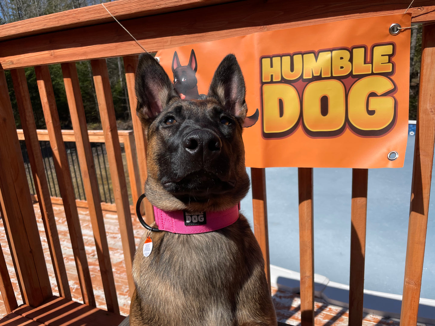 Humble Dog Tactical Collars