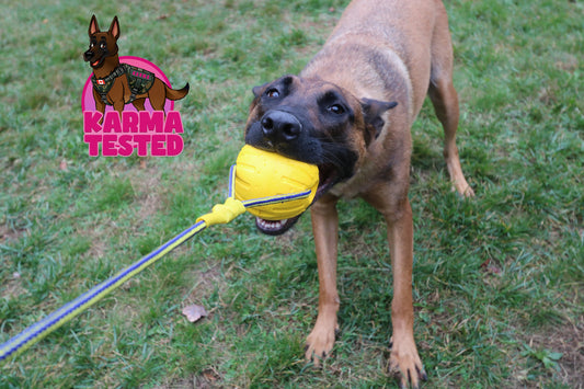 Humble Dog Training Ball on a Rope – Floats, Bounces, Built for K9 Training