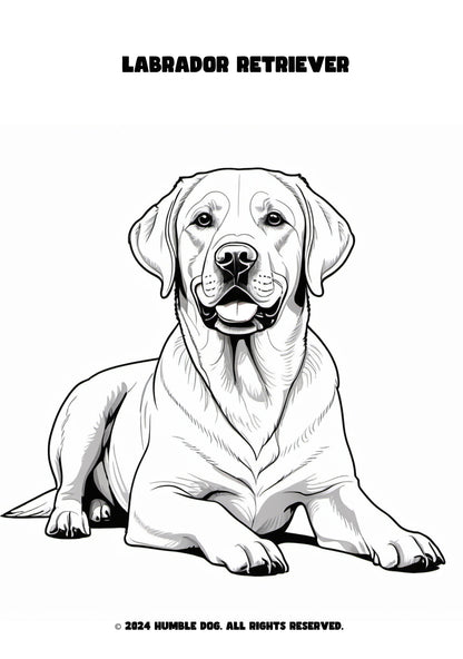 Humble Dog colouring book of dogs