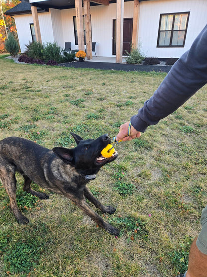 K9 Training Ball on a Rope | Floating Reward Toy for Drive Building, Fetch & Tug