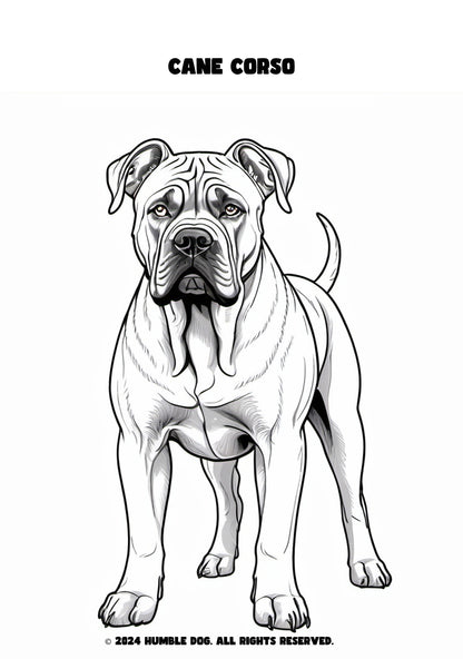 Humble Dog colouring book of dogs