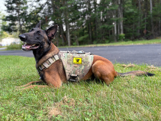 Pre Designed Patch "Don't pet on me"