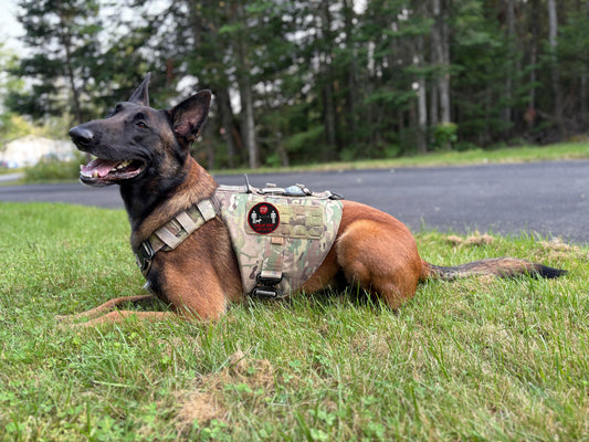 Round Service Dog Patch – “STOP: Handler Needs Space” (3.5”)
