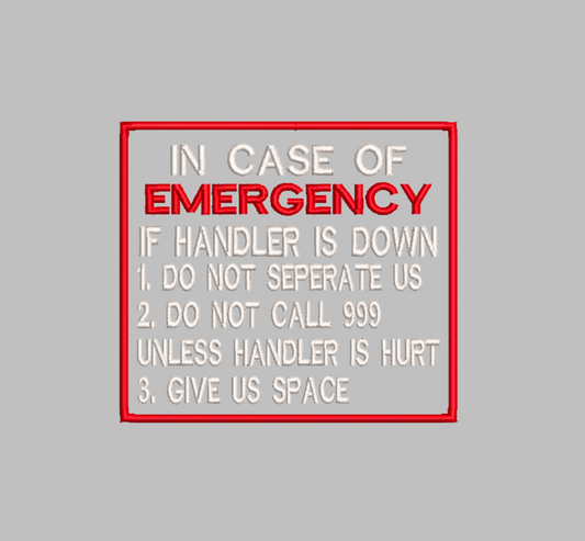 "In case of emergency" 999 Embroidery File (Digital Only)