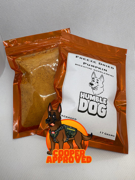 Freeze Dried Pumpkin digestive supplement
