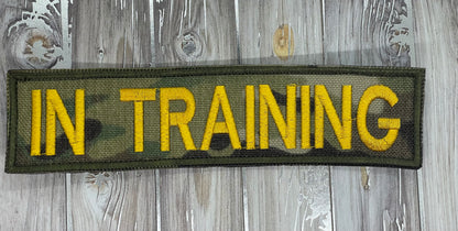 Pre Designed Patch In Training