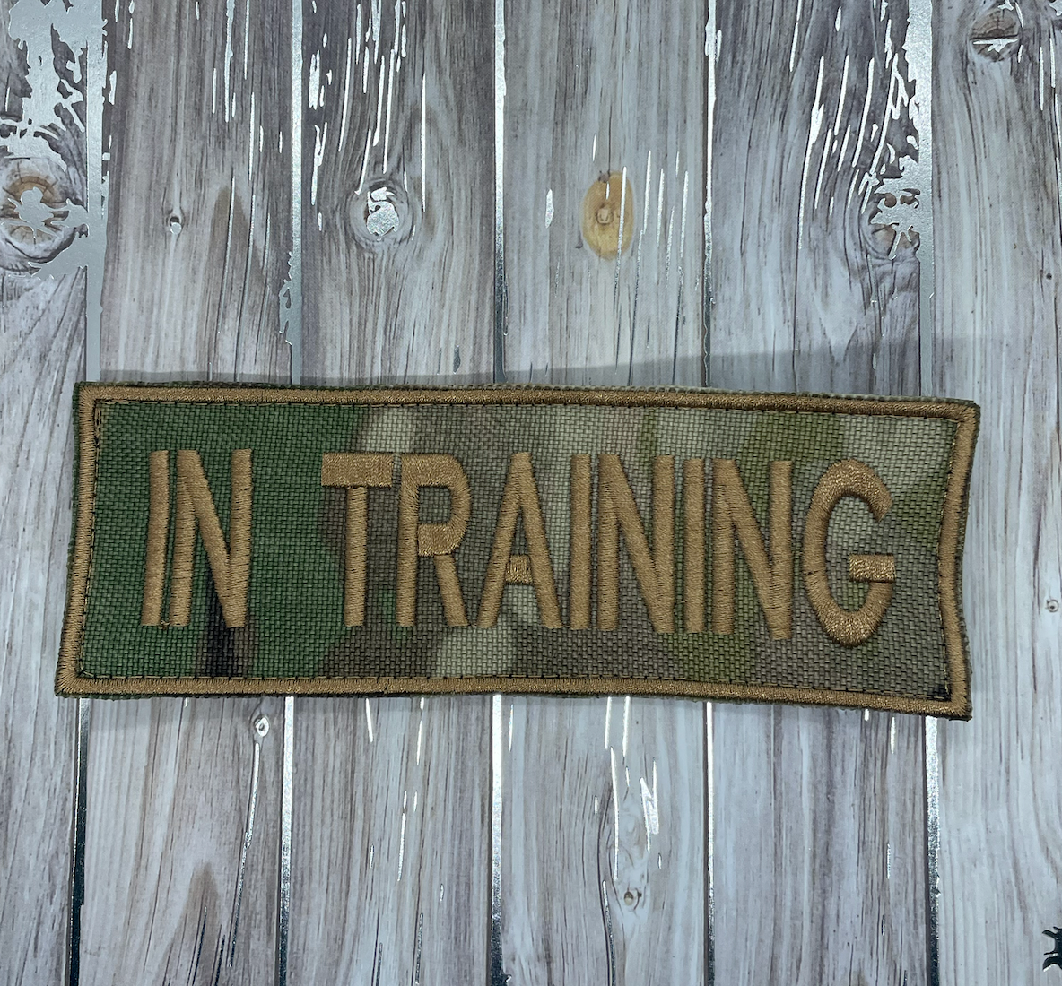 Pre Designed Patch In Training
